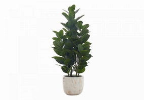 31" Garcinia Tree With 7" Marble-look Pot - Green