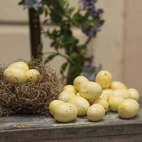 *24/Set Cream Speckled Eggs