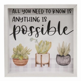 *Anything Is Possible Framed Box Sign