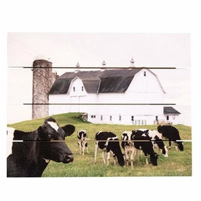 *Cow Gathering Pallet Art