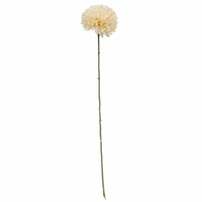 *Cream Pompom Spray