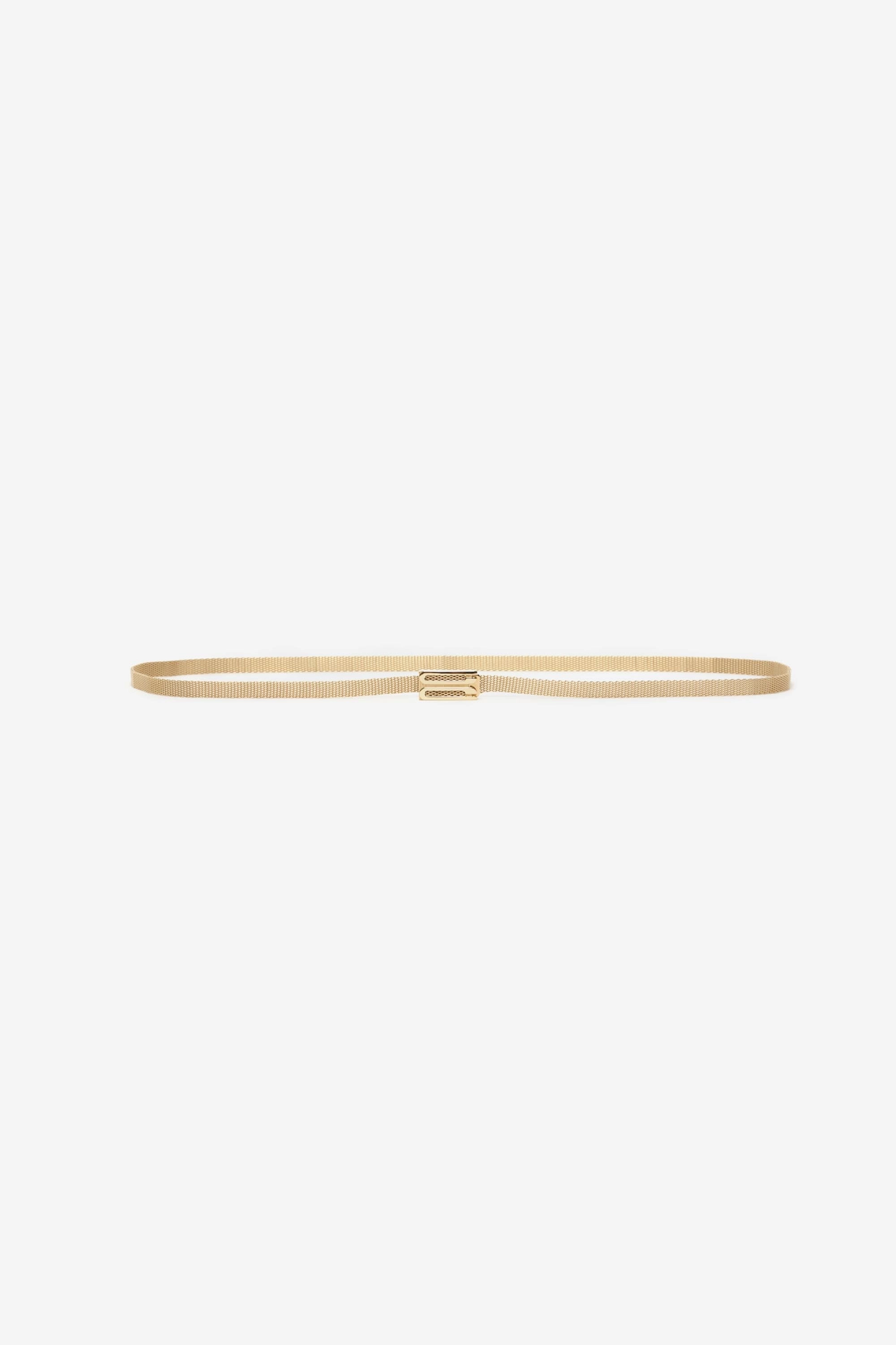 Brass Micro Frame Belt In Light Gold