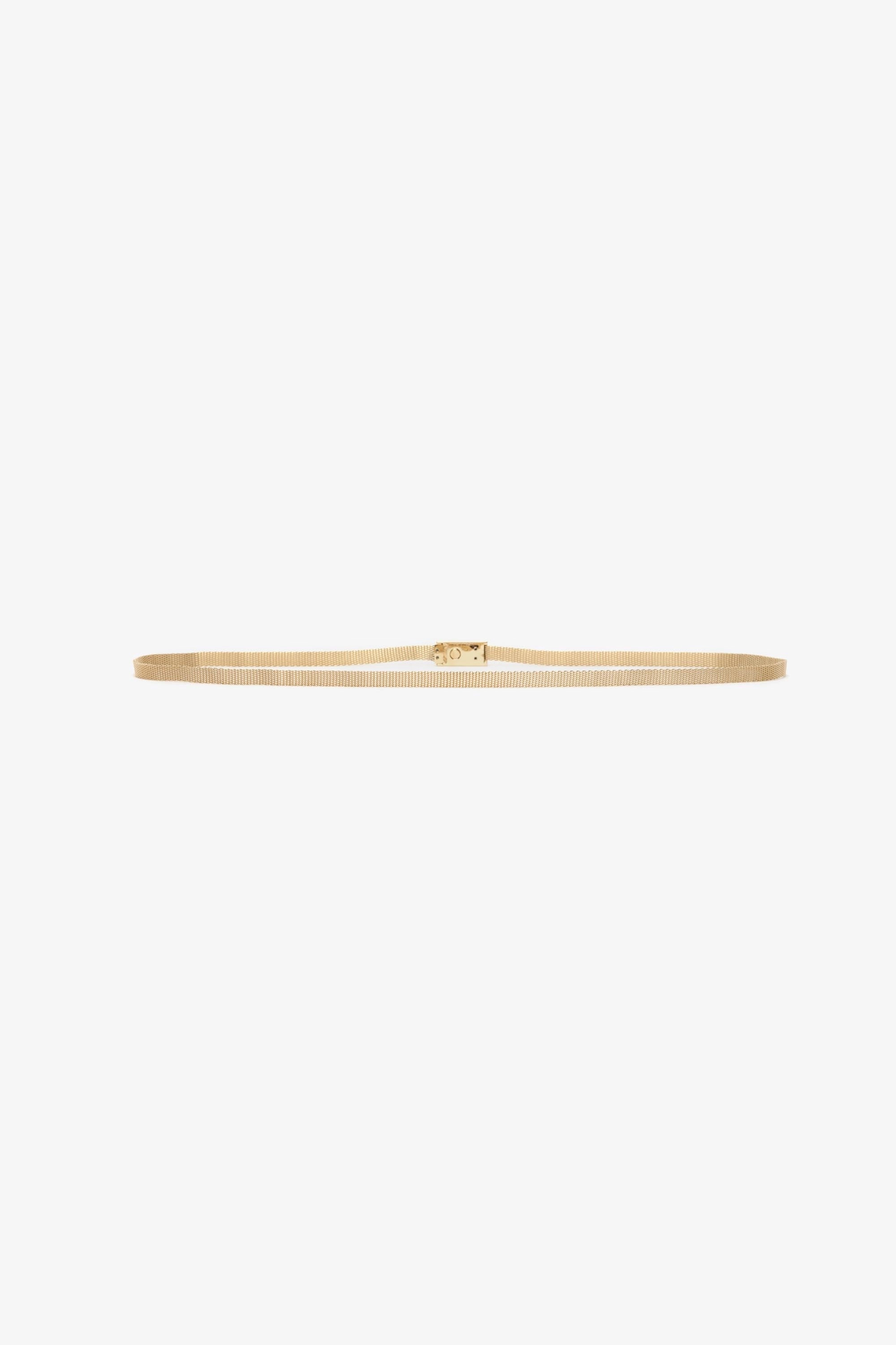 Brass Micro Frame Belt In Light Gold