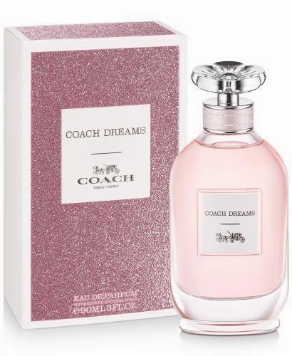 Coach Dreams