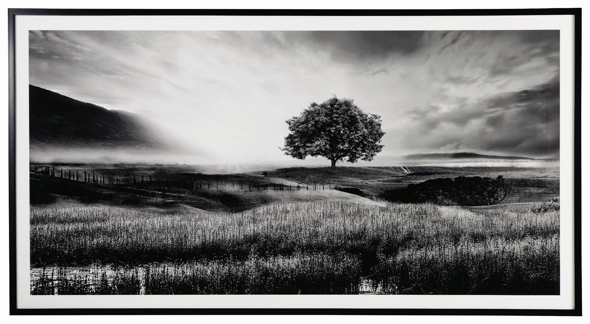 Deborland Black / White Wall Art