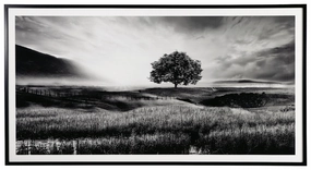 Deborland Black / White Wall Art