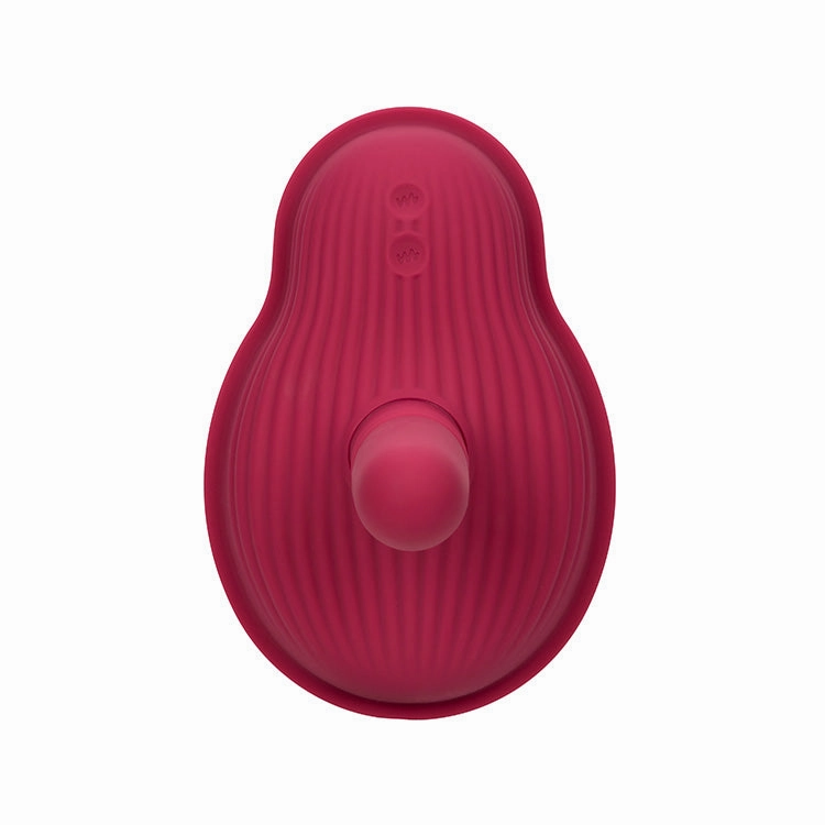 Dual Rider Remote Control Thrust & Grind Vibrator