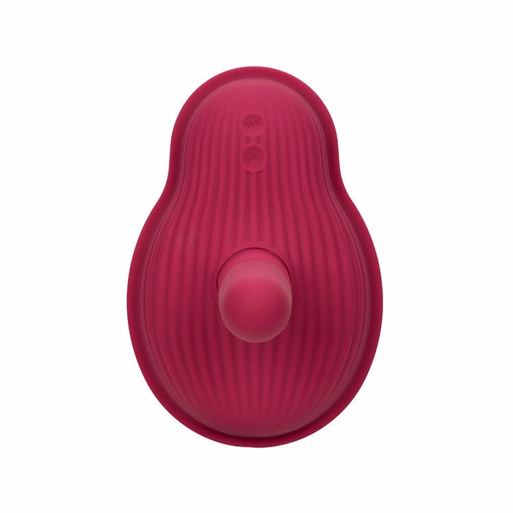 Dual Rider Remote Control Thrust & Grind Vibrator