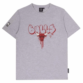 Junior's NBA Chicago Bulls Everett Vintage Tee