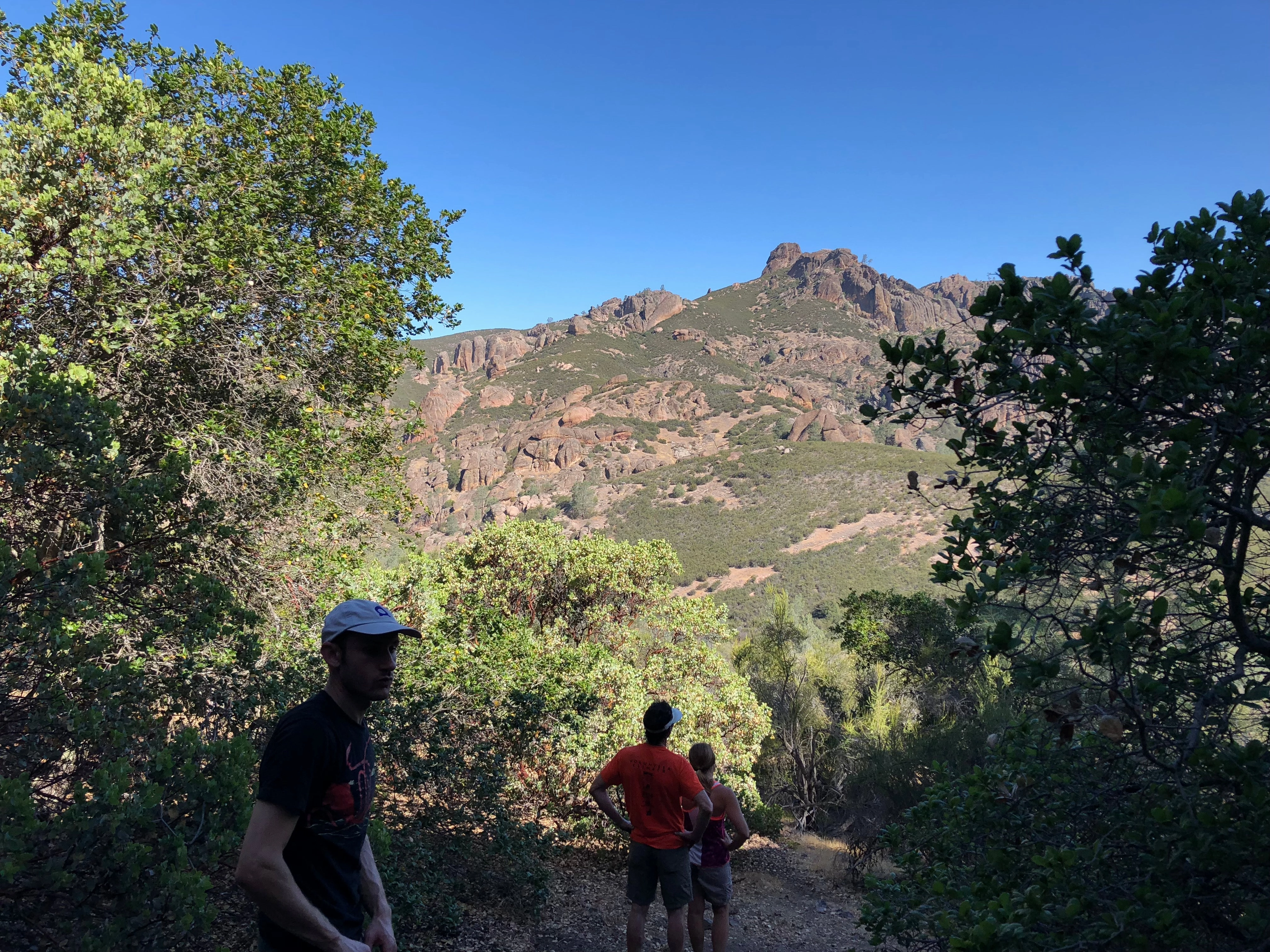 Pinnacles Climbing Weekend