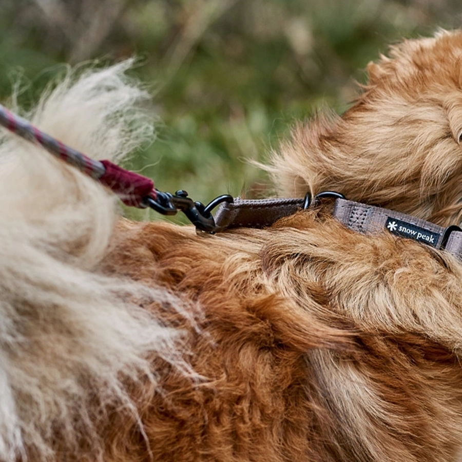 SP Rope Lead M Olive